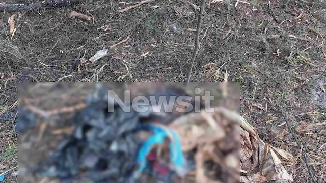 Η σακούλα του σαμποτάζ: Η ανθρωποφάγεια στη Χαλκιδική